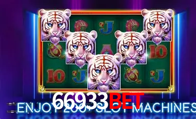 A Experiência Imersiva dos Cassinos Ao Vivo no 66933bet